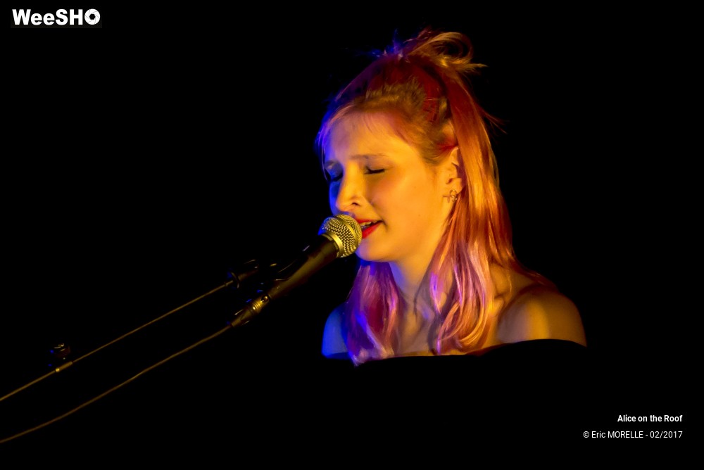29/38 photos du spectacle Alice on the Roof