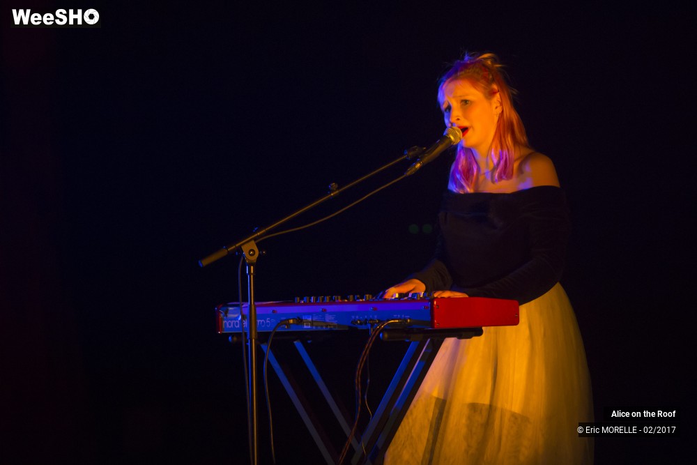 30/38 photos du spectacle Alice on the Roof
