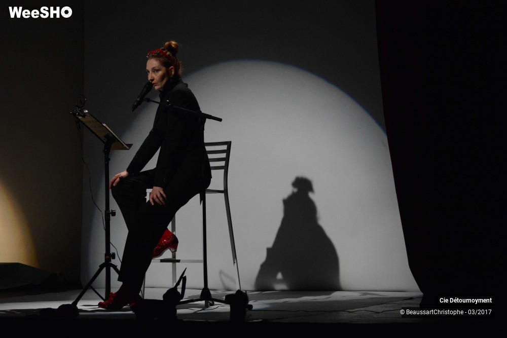 11/51 photos du spectacle Une vie bien renger d'Adolpha