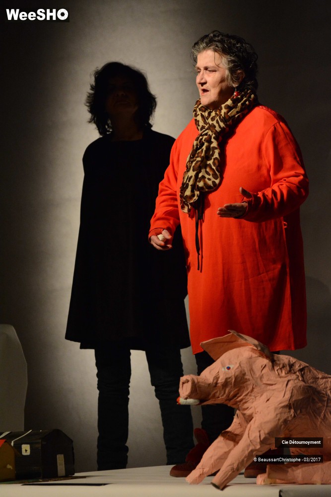 17/51 photos du spectacle Une vie bien renger d'Adolpha