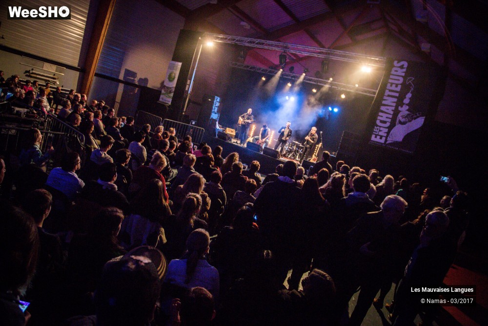 4/38 photos du spectacle Les Mauvaises Langues