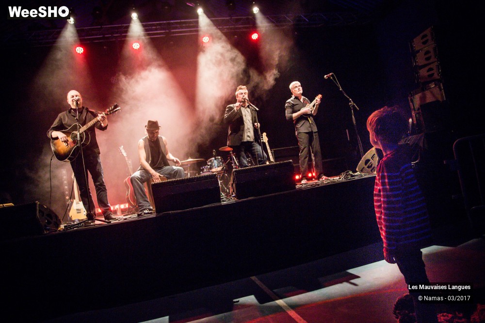 27/38 photos du spectacle Les Mauvaises Langues