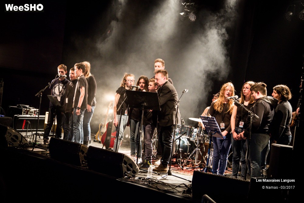 31/38 photos du spectacle Les Mauvaises Langues