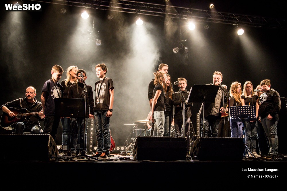 37/38 photos du spectacle Les Mauvaises Langues