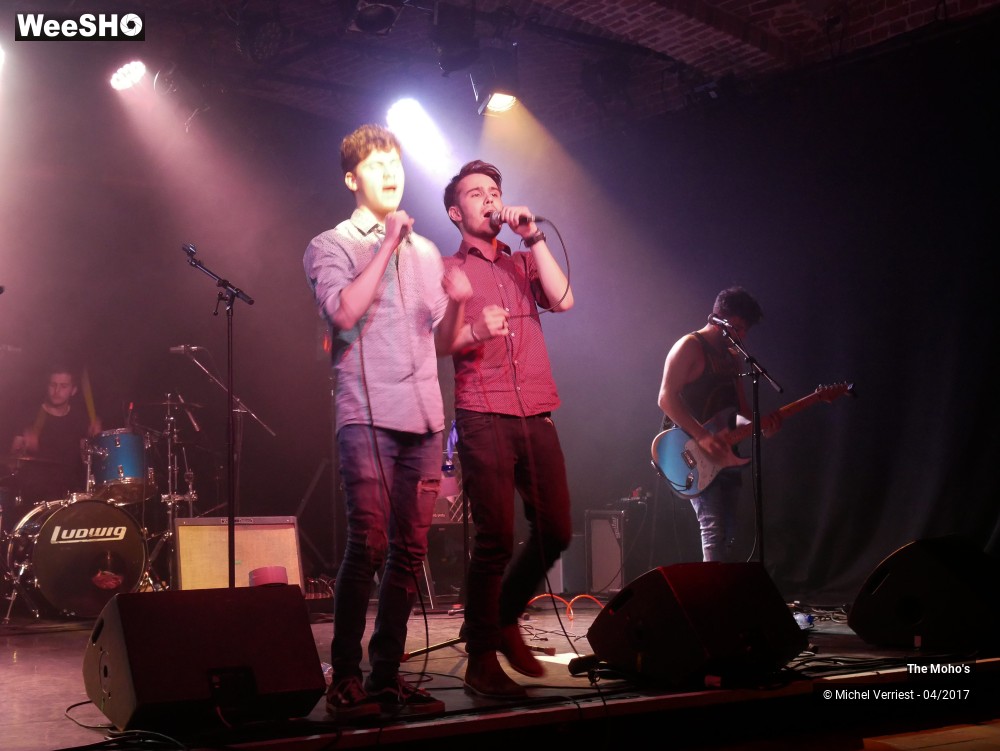 6/10 photos du spectacle the Moho's