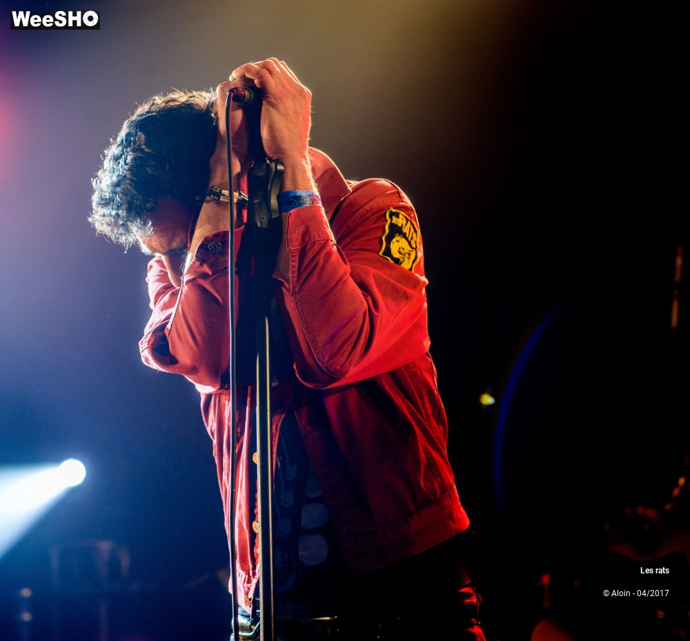 3/13 photos du spectacle Les rats
