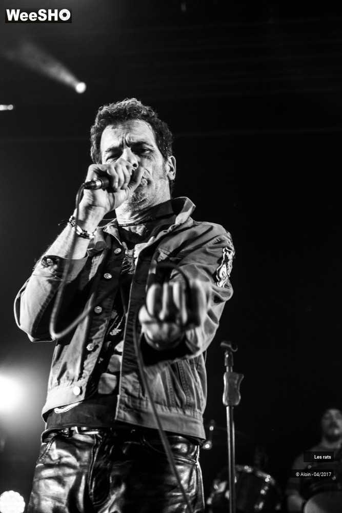 8/13 photos du spectacle Les rats