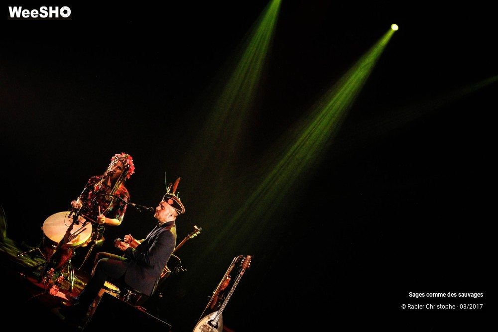 13/33 photos du spectacle Sages comme des Sauvages