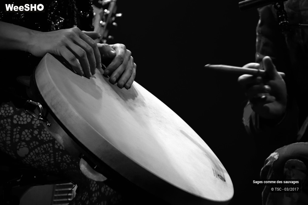 7/8 photos du spectacle Sage comme des sauvages