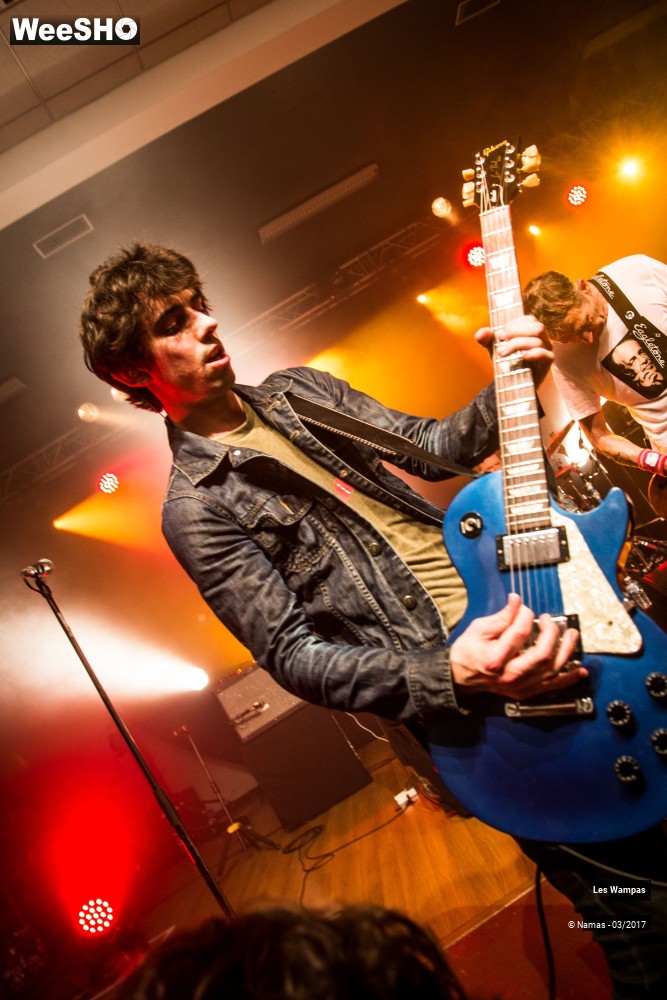 5/48 photos du spectacle Les Wampas