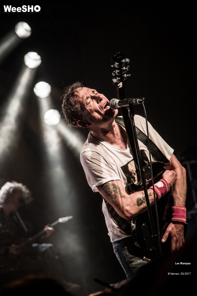 8/48 photos du spectacle Les Wampas