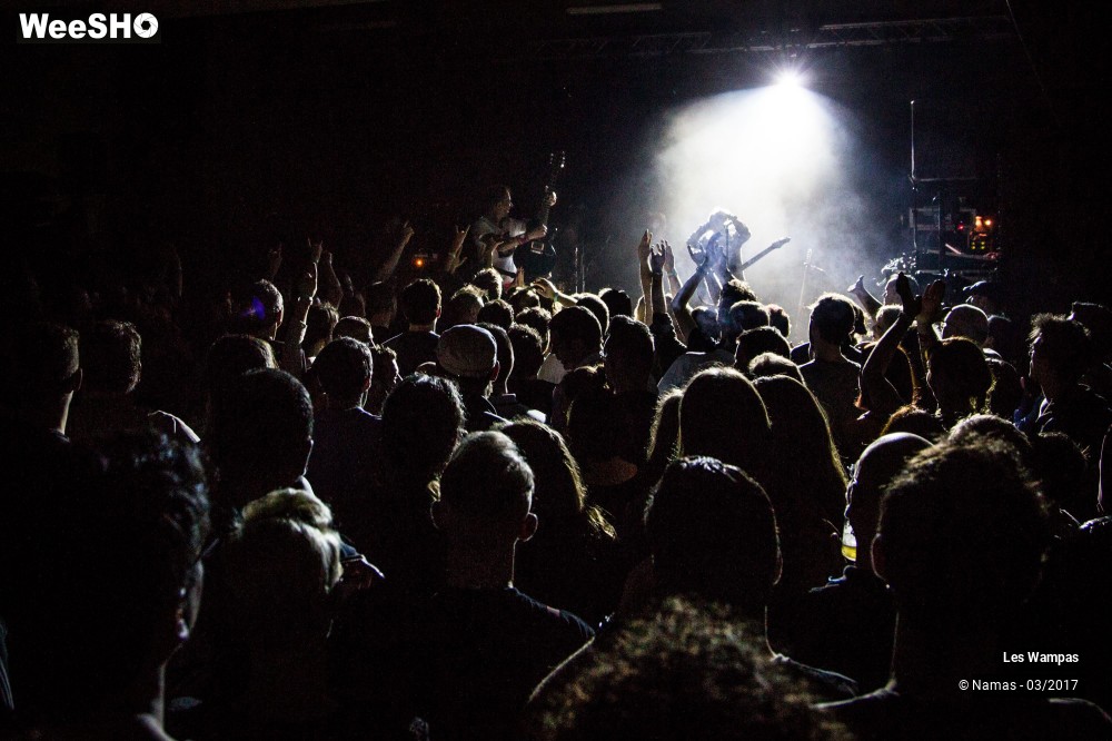 9/48 photos du spectacle Les Wampas