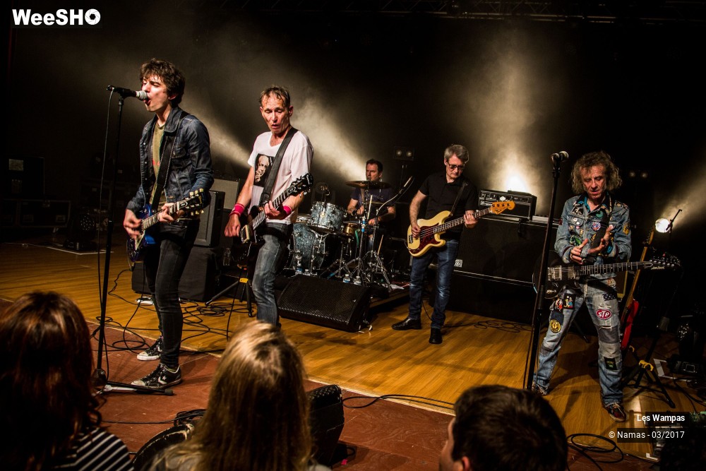 11/48 photos du spectacle Les Wampas