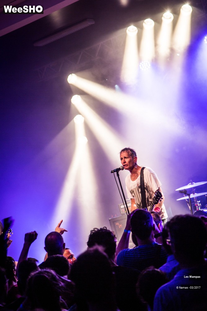 14/48 photos du spectacle Les Wampas