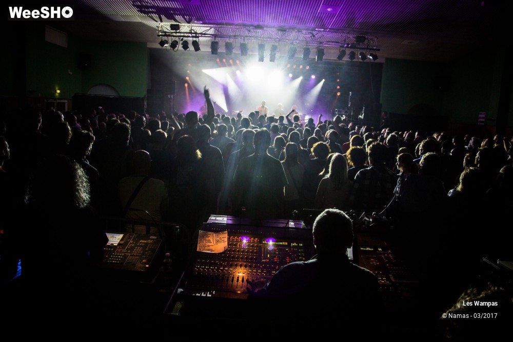 18/48 photos du spectacle Les Wampas