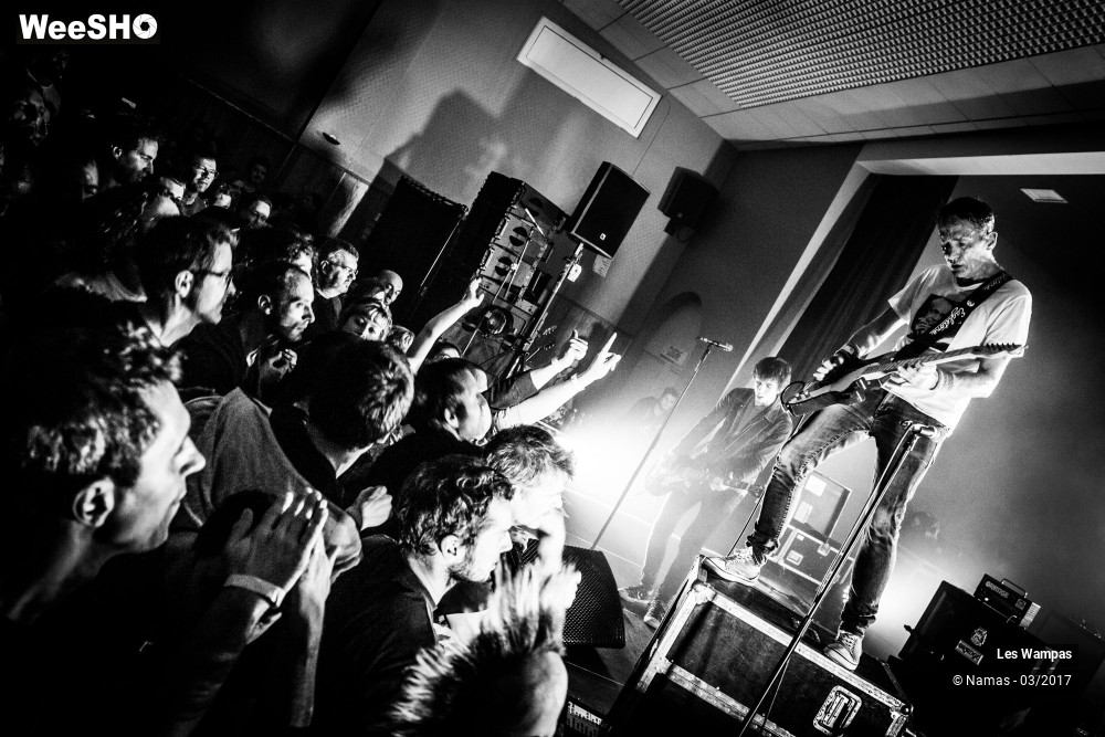 19/48 photos du spectacle Les Wampas