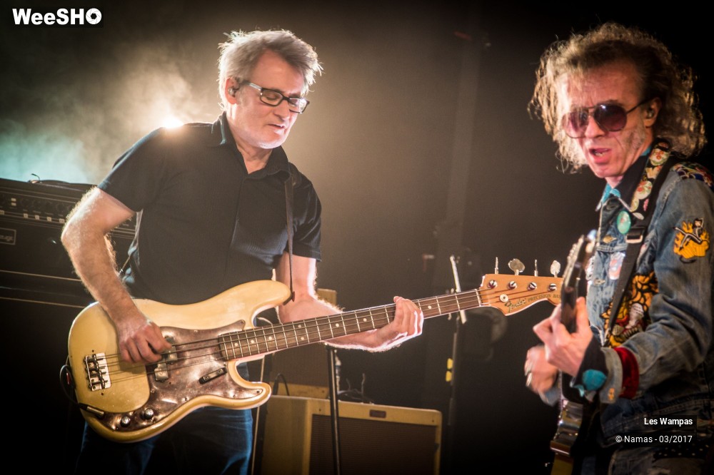 20/48 photos du spectacle Les Wampas
