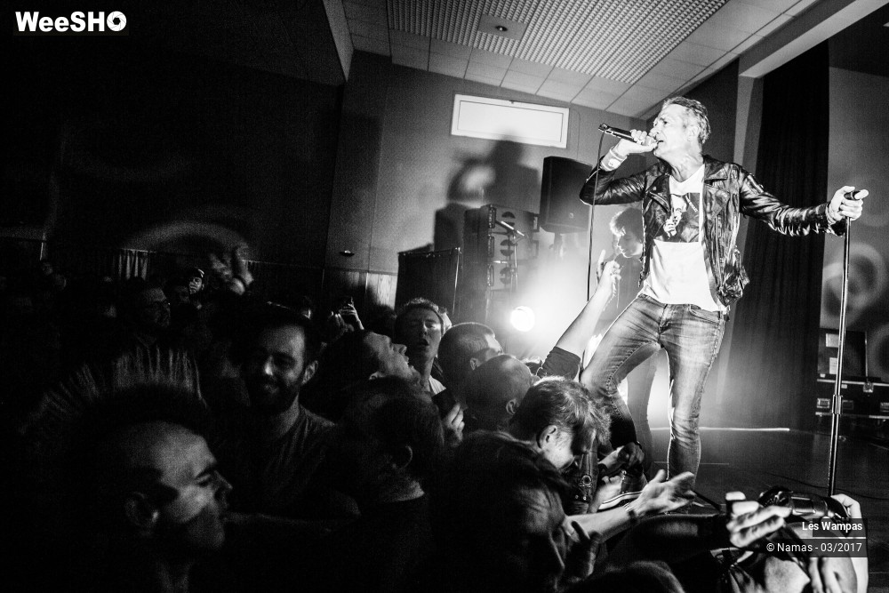 22/48 photos du spectacle Les Wampas
