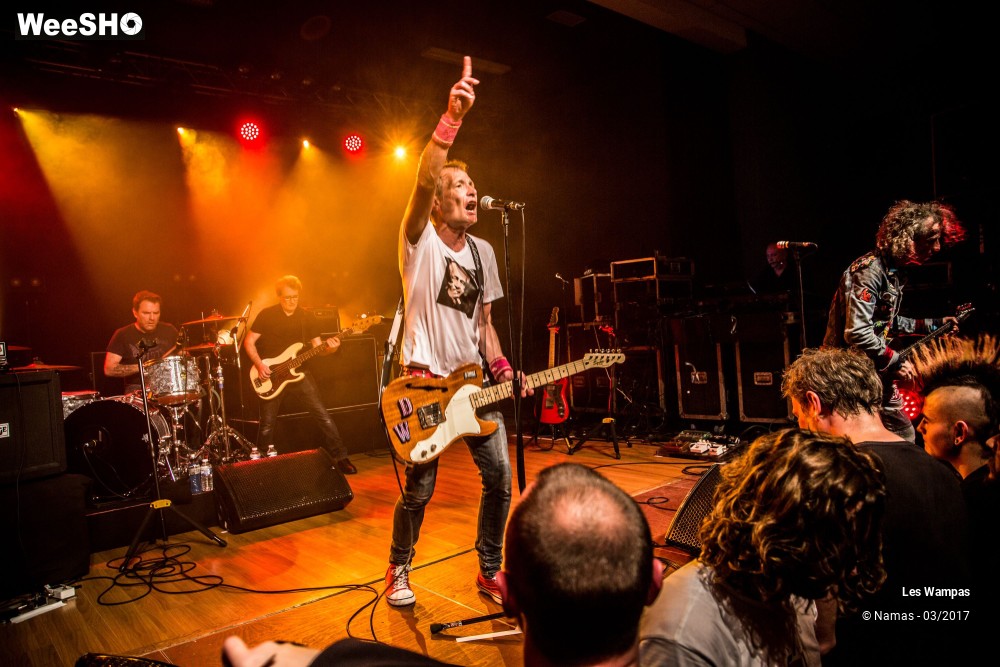 23/48 photos du spectacle Les Wampas