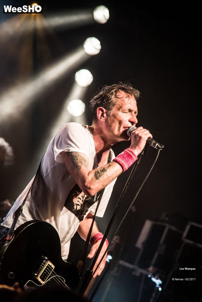 27/48 photos du spectacle Les Wampas