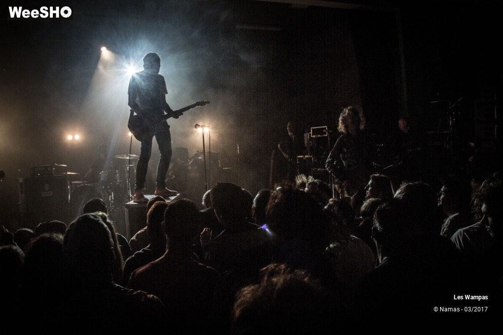 28/48 photos du spectacle Les Wampas