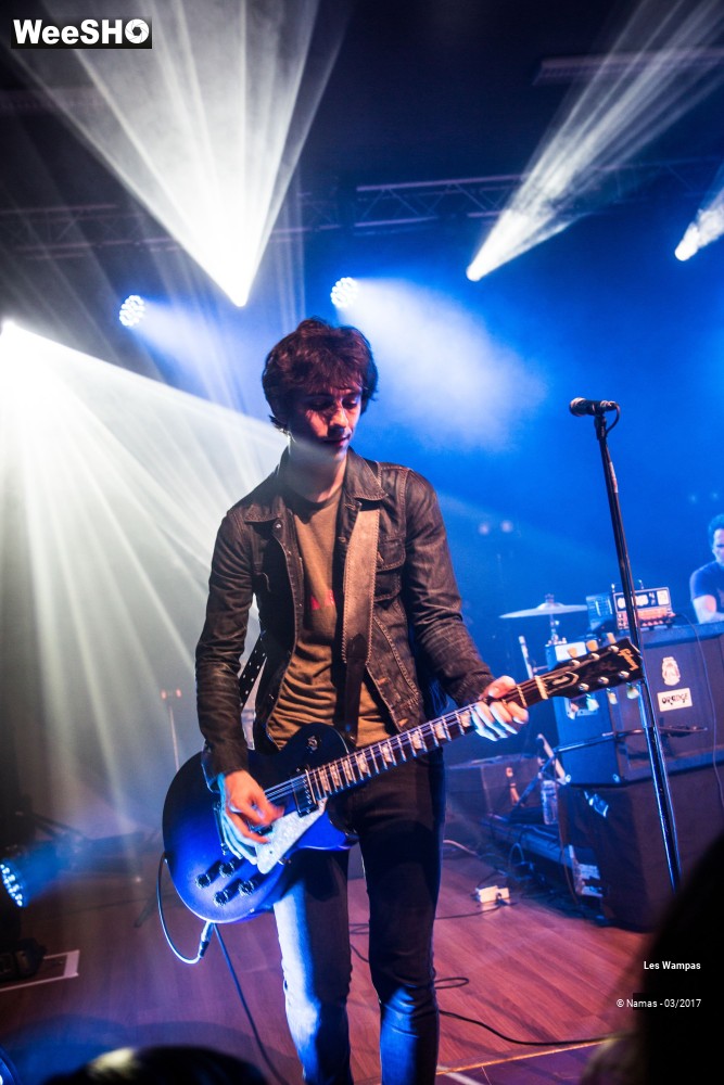 29/48 photos du spectacle Les Wampas