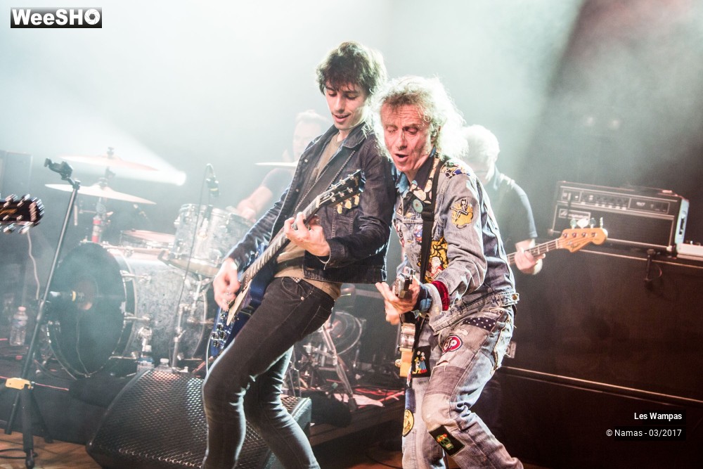 31/48 photos du spectacle Les Wampas