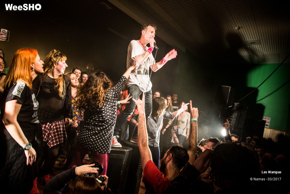 32/48 photos du spectacle Les Wampas