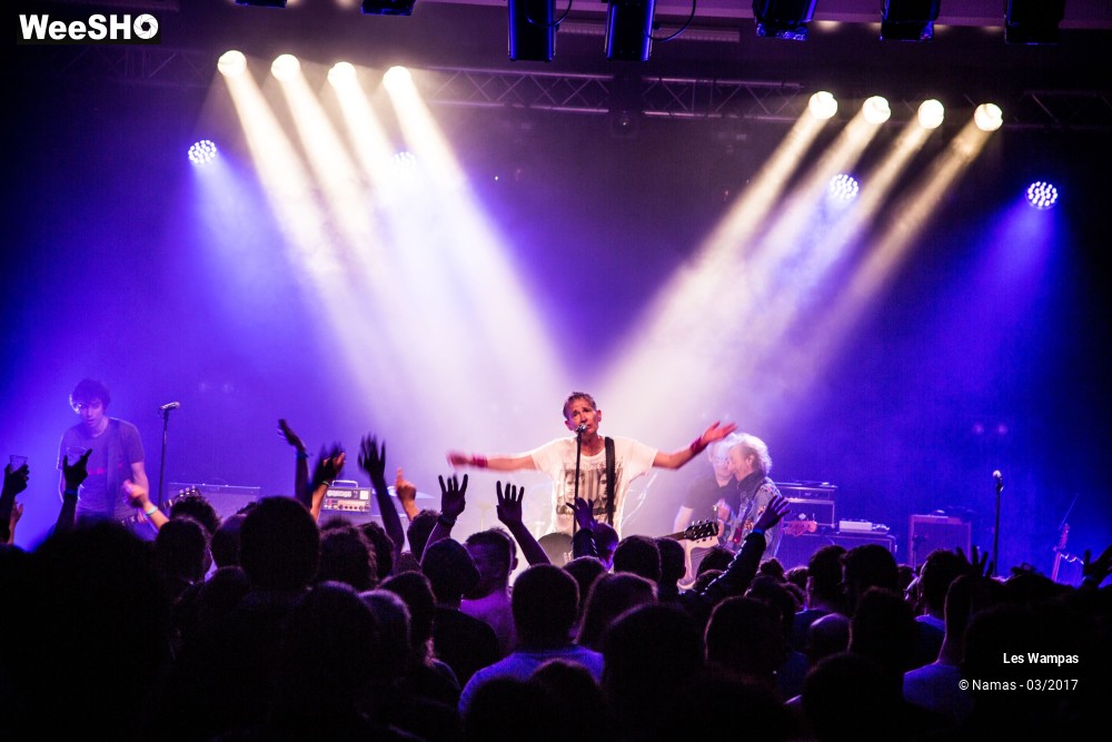33/48 photos du spectacle Les Wampas