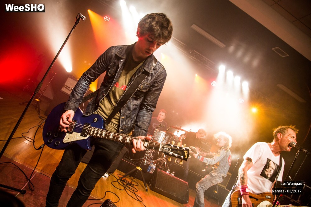 35/48 photos du spectacle Les Wampas