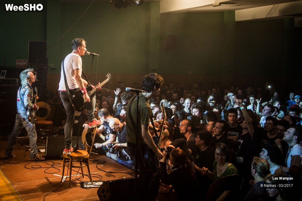 37/48 photos du spectacle Les Wampas