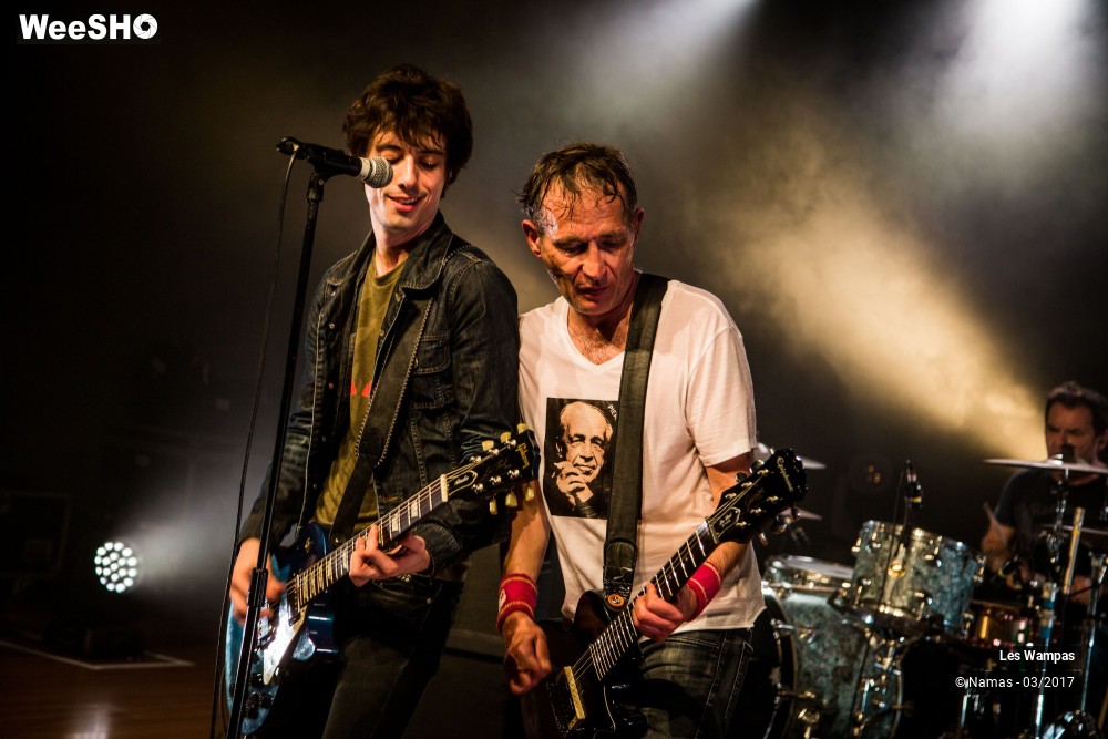 38/48 photos du spectacle Les Wampas
