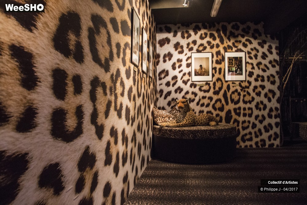 17/18 photos du spectacle Afriques Capitales