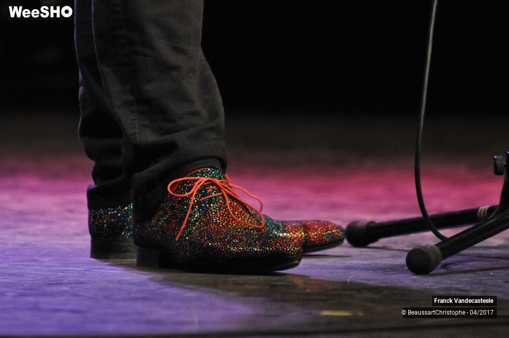 18/30 photos du spectacle Franck Chante l'Amour