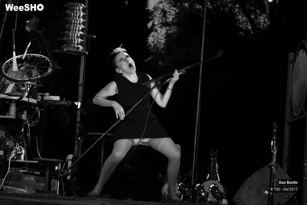 24/26 photos du spectacle Chansons à risques