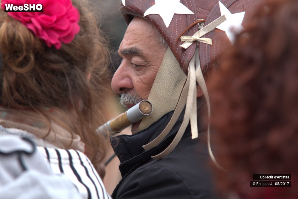 12/51 photos du spectacle Festival Forro Lille 2017