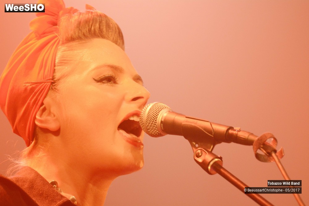 10/20 photos du spectacle Tobazco Wild Band 