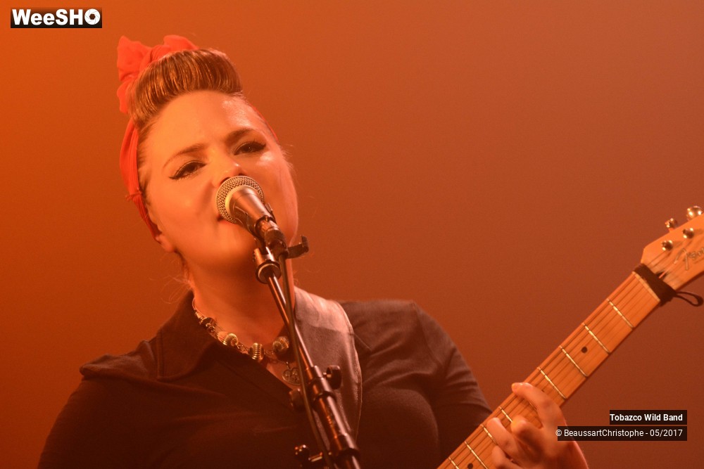 11/20 photos du spectacle Tobazco Wild Band 
