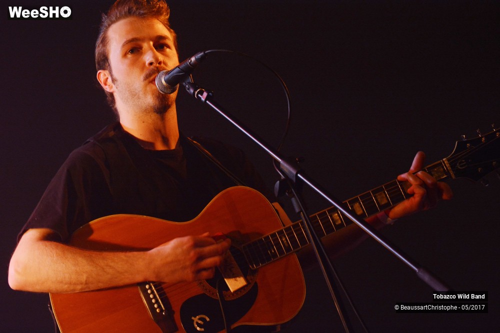 14/20 photos du spectacle Tobazco Wild Band 