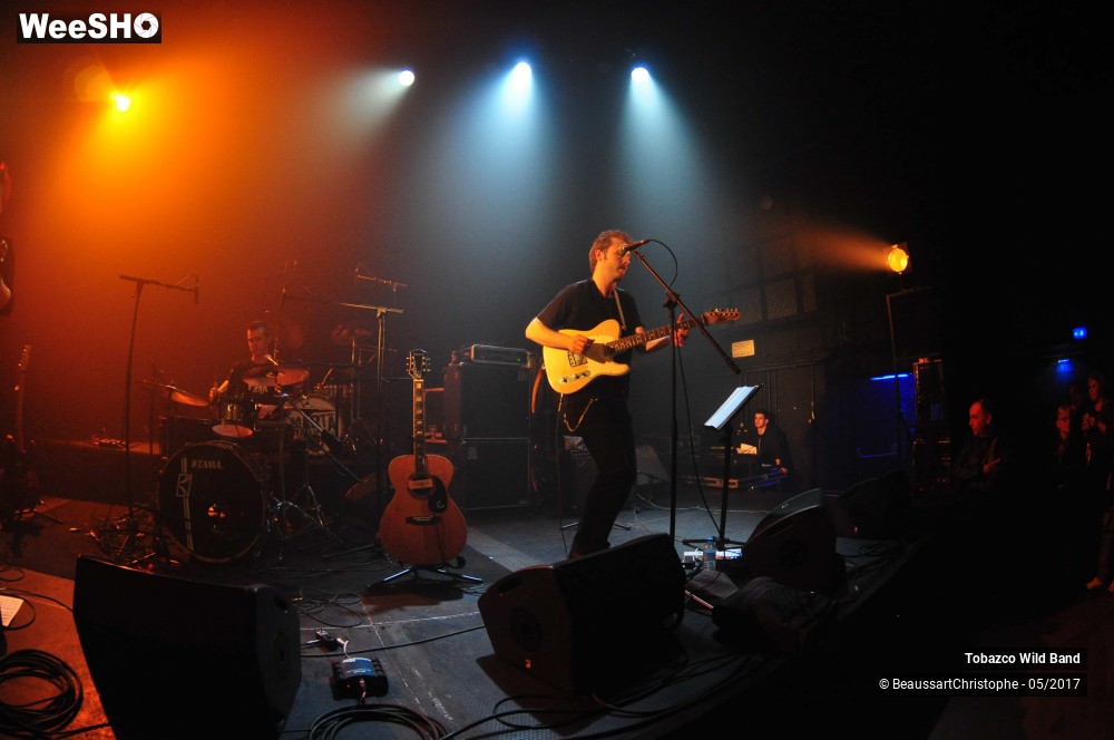 18/20 photos du spectacle Tobazco Wild Band 