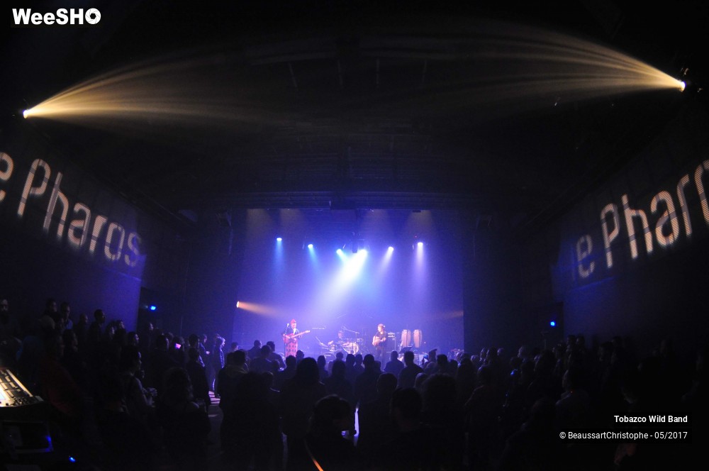 19/20 photos du spectacle Tobazco Wild Band 
