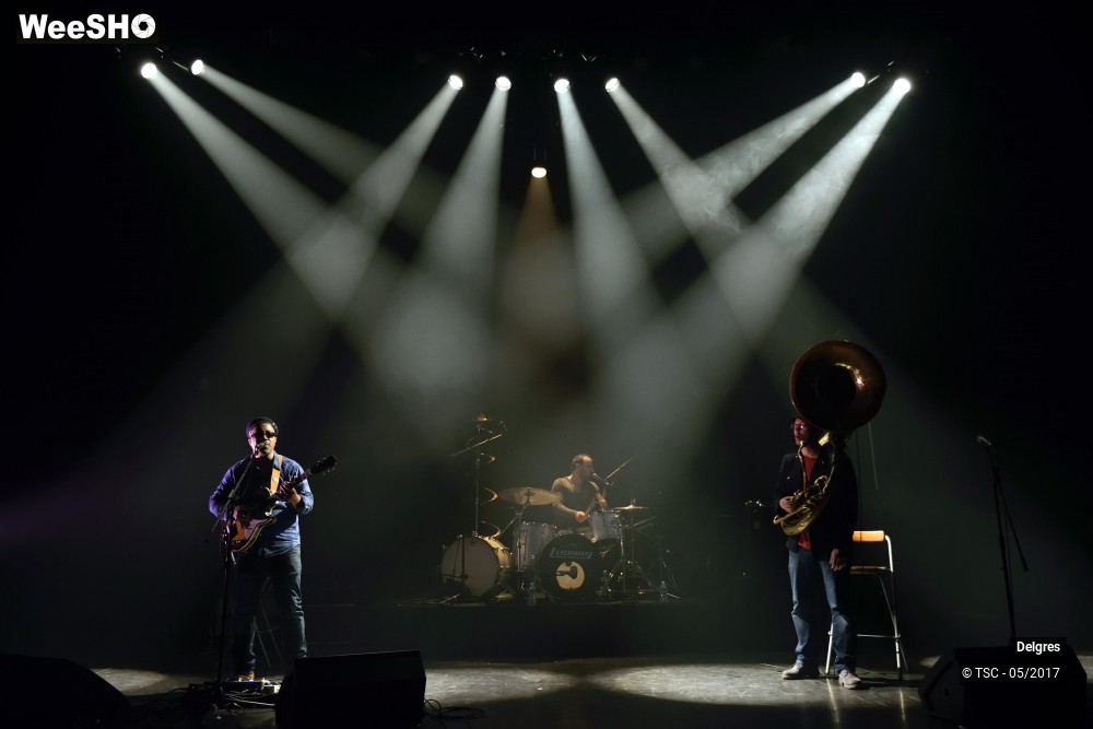 12/34 photos du spectacle Delgres