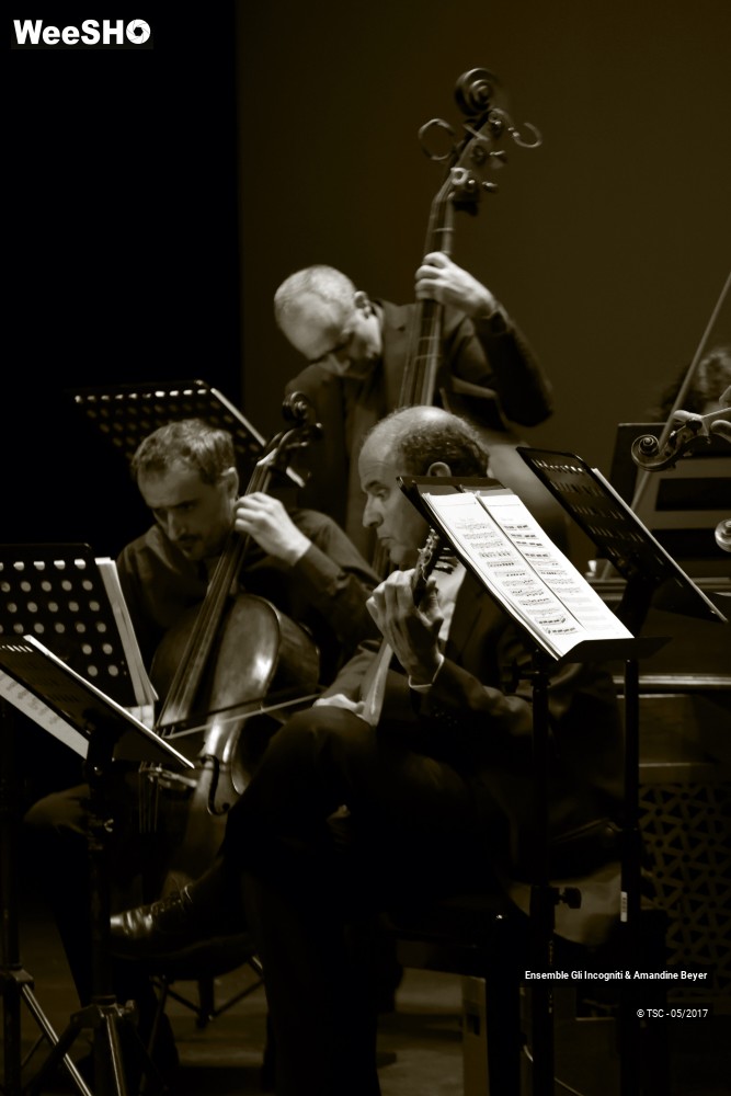 2/22 photos du spectacle Les 4 saisons et autres concertos d'Antonio Vivaldi