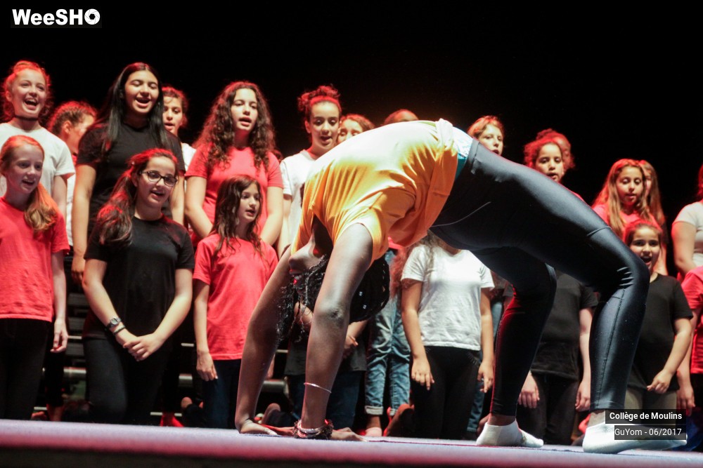 4/47 photos du spectacle La vie est un cirque