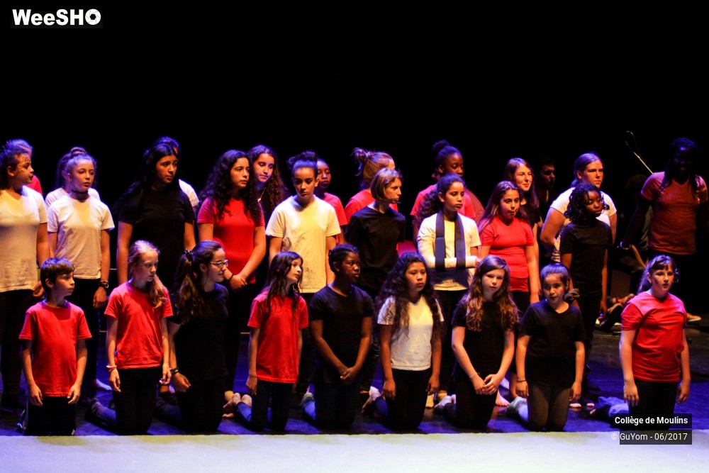 8/47 photos du spectacle La vie est un cirque