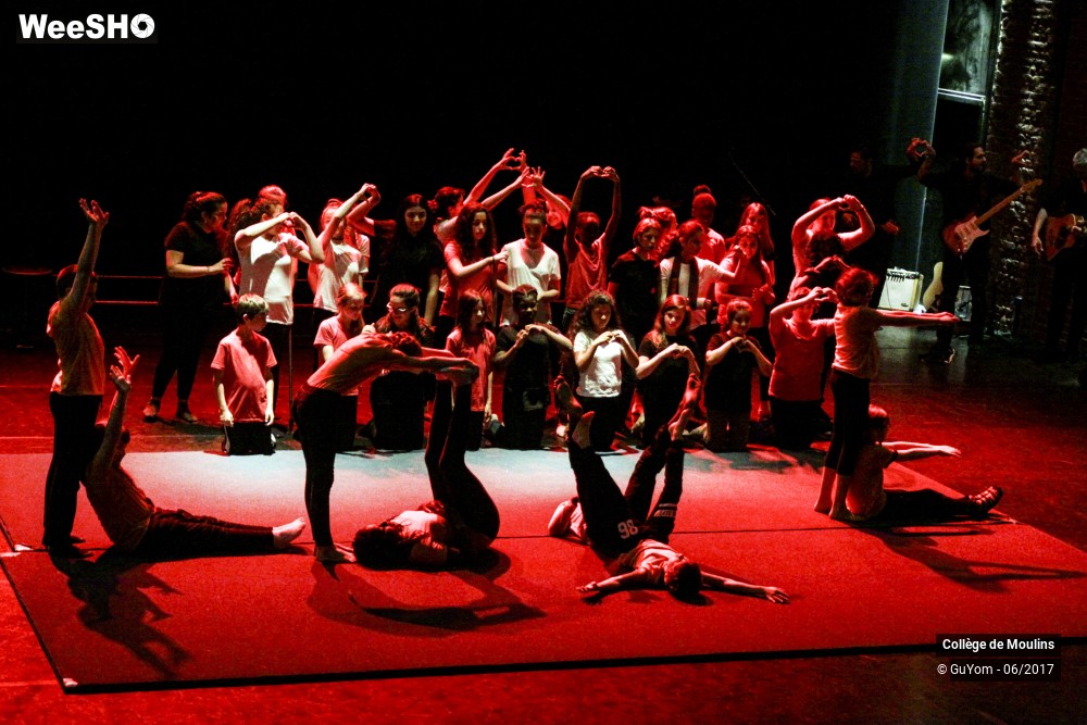 10/47 photos du spectacle La vie est un cirque