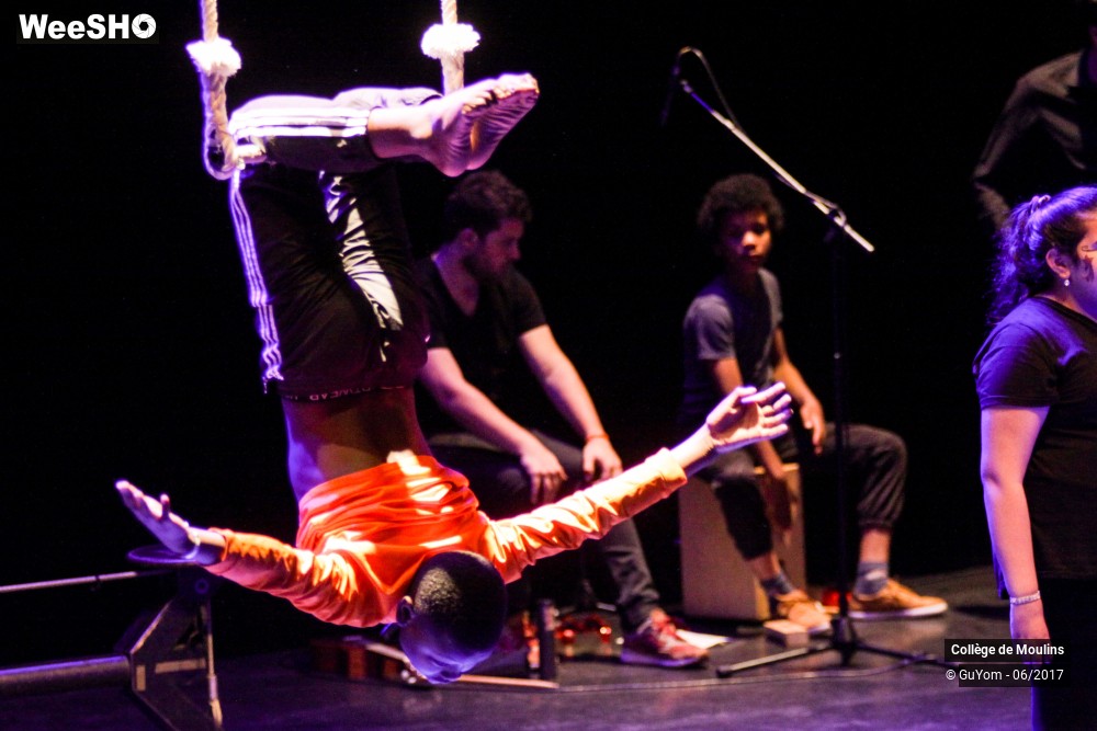 12/47 photos du spectacle La vie est un cirque