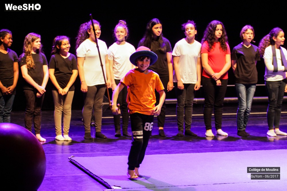 16/47 photos du spectacle La vie est un cirque