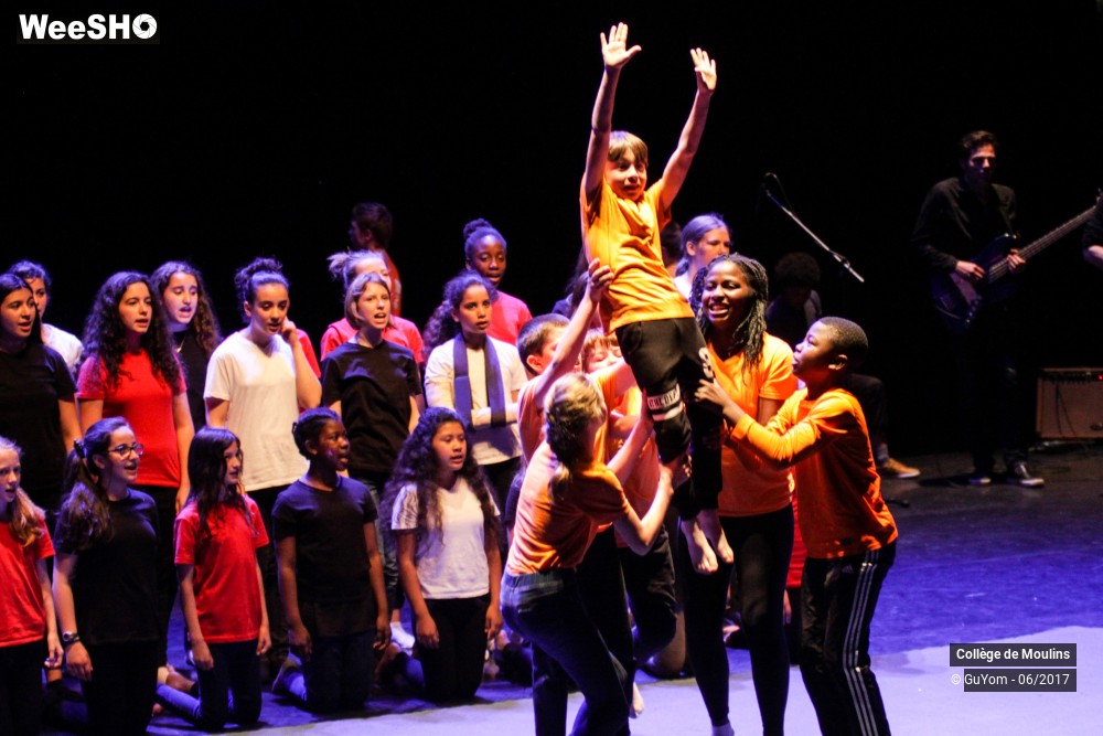 17/47 photos du spectacle La vie est un cirque