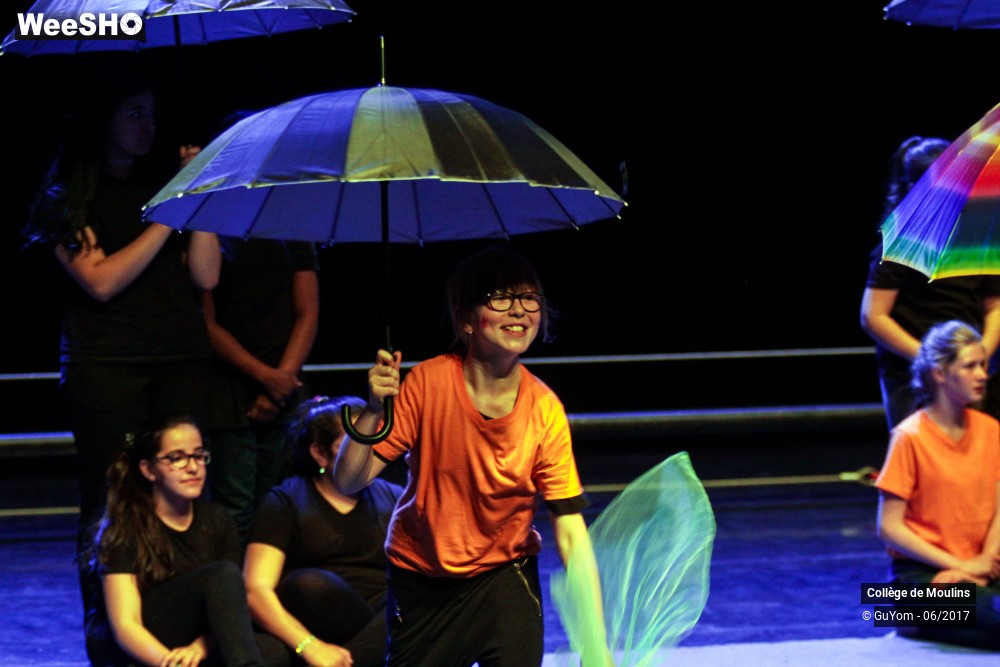 18/47 photos du spectacle La vie est un cirque